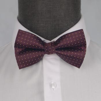 Бабочка мужская 0166