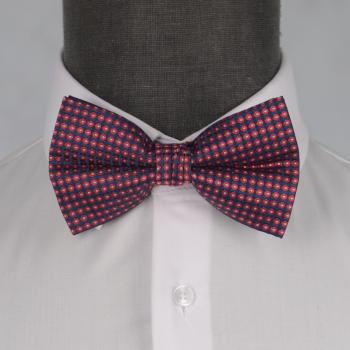 Бабочка мужская 0043