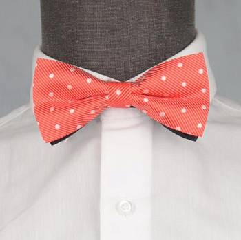 Бабочка мужская 0089