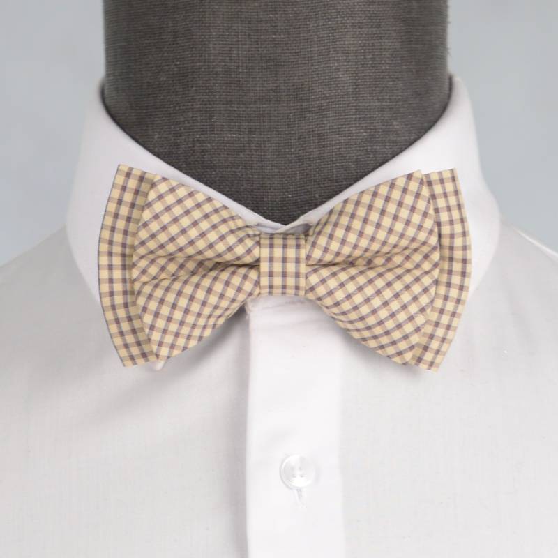 Бабочка мужская 0062